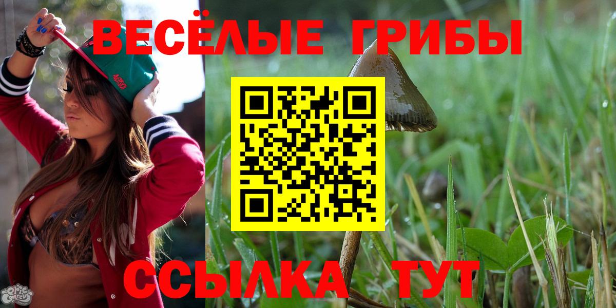 Псилоцибиновые грибы мухоморы  Псилоцибиновые грибы мицелий  Вход с VPN  Ивантеевка 