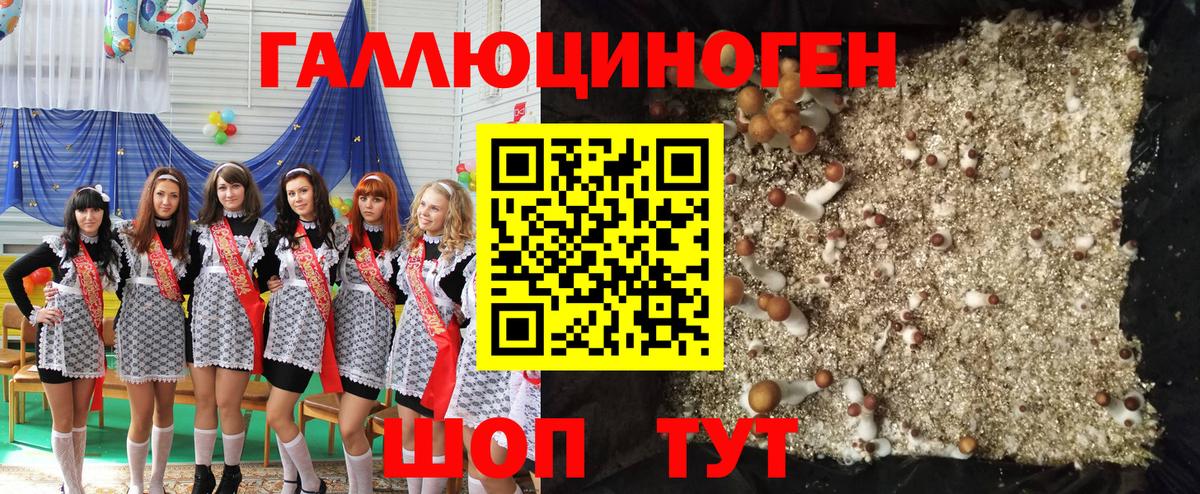 Псилоцибиновые грибы прущие грибы Ивантеевка